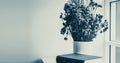 Dry flowers in white jar with books on table close to window with copy space. Minimal and simple stylish fo decoration for living