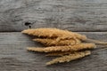 Dry fluffy grass bush