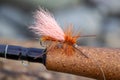 Golden Stonefly Dry Fly for Fishing Royalty Free Stock Photo