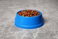 Dry food in blue pet bowl on grey surface Royalty Free Stock Photo