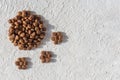 Dry food for dogs and cats in the form of a footprint, paws on a white plaster background, copy space, top view