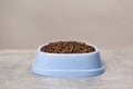 Dry food in light blue pet bowl on grey surface Royalty Free Stock Photo