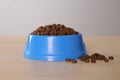 Dry food in light blue pet bowl on wooden surface Royalty Free Stock Photo