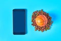 Dry food for pet near smartphone or tablet and rubber basketball ball on blue background
