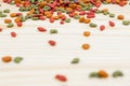 Dry food for pets on wooden background Royalty Free Stock Photo