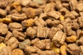 Dry food for puppies close-up. Complete diet for dogs during their first year of life