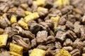 Dry food for puppies close-up. Complete diet for dogs during their first year of life