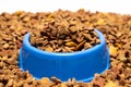 Dry food for puppies close-up. Complete diet for dogs during their first year of life