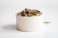 Dry food for rodents in bowl white background Royalty Free Stock Photo