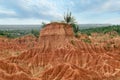 dry forest near neiva colombia Royalty Free Stock Photo