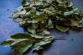 Dry fragrant laurel tree branches along with dried leaves on the table Royalty Free Stock Photo