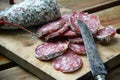 French sausage (saucisson) from Rhone-Alps region of southern France.