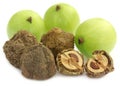 Dry and fresh amla