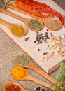 Dry and fresh spices - seasoning Royalty Free Stock Photo