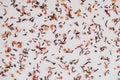 Dry fruit tea randomly scattered on a white table background. Top view. Copy, empty space for text Royalty Free Stock Photo