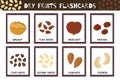 Dry fruits flashcards collection. Flash cards for practicing reading skills