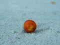 Dried fruits fall on the white sand. Royalty Free Stock Photo