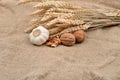 Dry garlic and unbroken nuts on a jute bag background, with bunch of wheat behind them. Selective focus. Rustic image. Country st