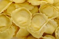 Dry girasole pasta Royalty Free Stock Photo