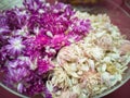 Dry Globe amaranth, Dried blossoms for aromatherapy, Potpourri - image Royalty Free Stock Photo