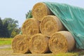 Dry golden Hay bales Royalty Free Stock Photo