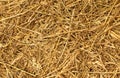 Dry Golden Hay or Straw Texture Royalty Free Stock Photo