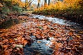 Dry golden leaves floating on the river flowing through the forest Royalty Free Stock Photo