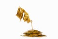 Dry golden plant on gold coins
