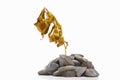 Dry golden plant on rock