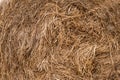 Dry grass for background or wallpaper. yellow straw texture Royalty Free Stock Photo