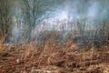 Dry grass blazes among bushes, fire in bushes area