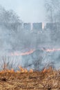 The dry grass is burning in the city. much smoke. A big fire. Royalty Free Stock Photo