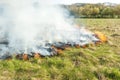 Dry grass is burning on a meadow in the countryside. A wild fire burns dry grass in a field. Orange flames and plumes of smoke. Royalty Free Stock Photo