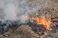 Dry grass burning