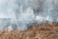 The dry grass is burning. much smoke. A big fire. Royalty Free Stock Photo