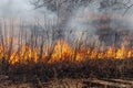 The dry grass is burning. much smoke. A big fire. Royalty Free Stock Photo