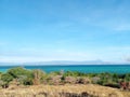 Dry grass with clear blue sea on the backgr