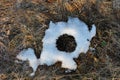 Dry grass covered with white melting snow, circle shape, natural background