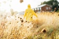 Dry grass with dew on meadow after rain in sunset sunlight with back view enjoing walking woman in yellow raincoat on Royalty Free Stock Photo