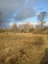 Dry grass in the foreground , forest in background, autumn,country villige Royalty Free Stock Photo