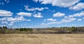 Dry grass under blue sky