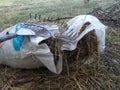 Dry grass in garbage bags Royalty Free Stock Photo