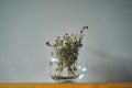 dry grass in a glass vase.