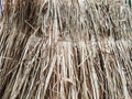 Dry grass, hay, straw laid in rows. Thatched wall background and texture. Tropical roofing on beach. Abstract pattern Royalty Free Stock Photo