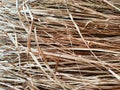 Dry grass, hay, straw laid in rows. Thatched wall background and texture. Tropical roofing on beach. Abstract pattern Royalty Free Stock Photo