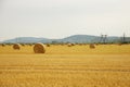 Dry grass hay, twisted in dense stacks at the time of preparing cattle feed, close-up on an agricultural field against a blue sky