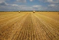 Dry grass hay, twisted in dense stacks at the time of preparing cattle feed, close-up on an agricultural field against a blue sky