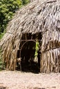 A dry grass hut entrance Royalty Free Stock Photo