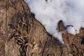 Dry grass and melting snow, top view Royalty Free Stock Photo