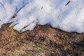 Dry grass and melting snow, top view Royalty Free Stock Photo